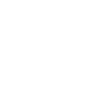 icons8-volkswagen-100.webp